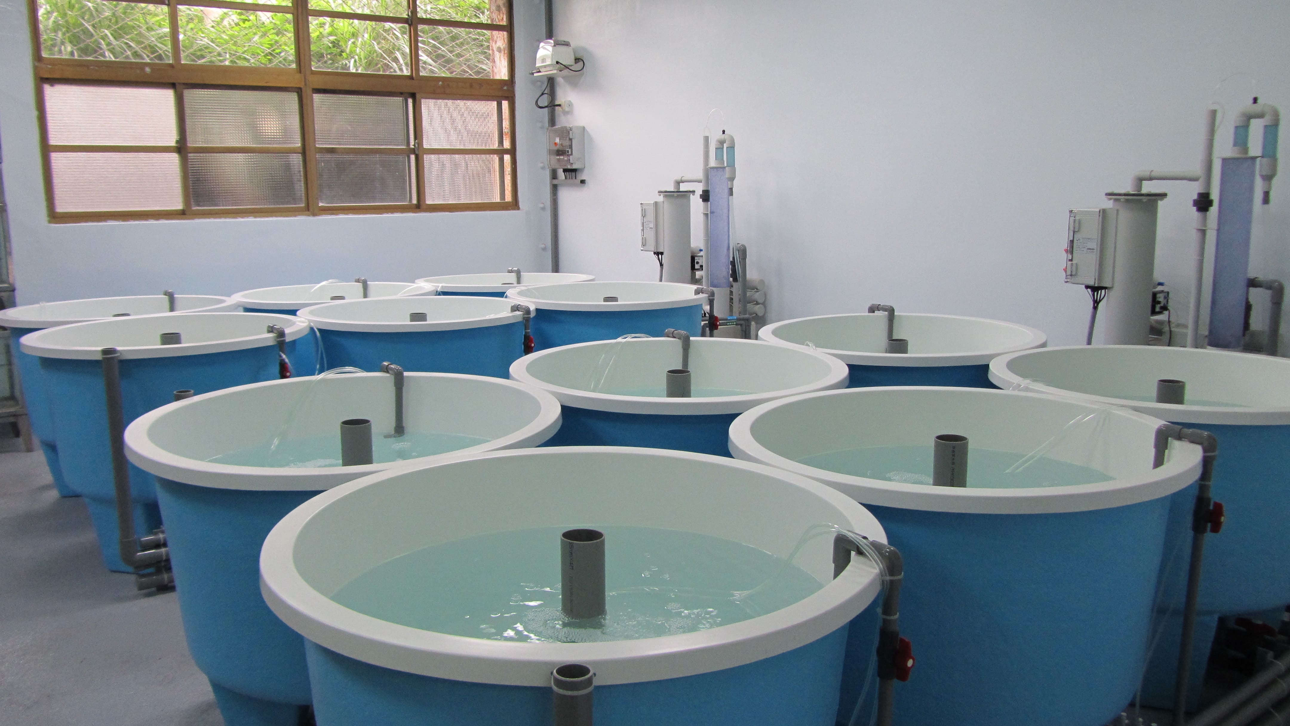 區域特色水族養殖實習室